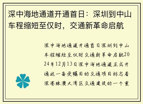 深中海地通道开通首日：深圳到中山车程缩短至仅时，交通新革命启航